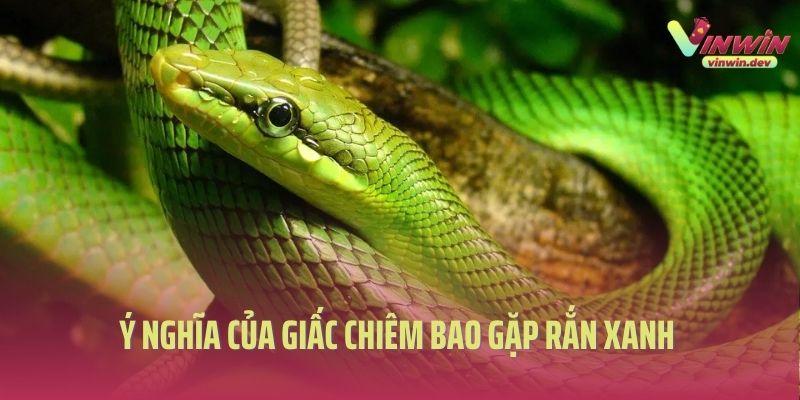 Ý nghĩa của giấc chiêm bao gặp rắn xanh